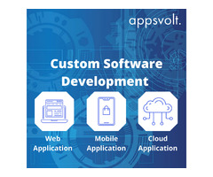 Top Custom Software Development Company in USA  | free-classifieds-usa.com - 1