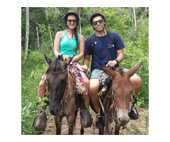 Punta Cana Horseback Riding | YAY! Punta Cana | free-classifieds-usa.com - 1