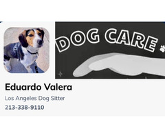 Best LA Pet Care - $18 Dog Walker Los Angeles  | free-classifieds-usa.com - 2