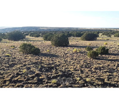 1 Acre Concho Lakeland close to Hwy 61 and 60!! APN: 107-32-054 | free-classifieds-usa.com - 1