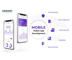 Create A Fully Secured Digital Wallet App Development Solution | free-classifieds-usa.com - 1