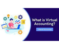 Best Virtual Accounting Services for small business | free-classifieds-usa.com - 1