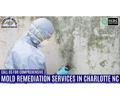 Call us For Comprehensive Mold Remediation Services in Charlotte NC. | free-classifieds-usa.com - 1