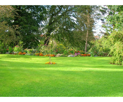 Lawn Care Services in Montgomery County PA | free-classifieds-usa.com - 2