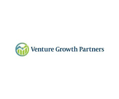 CFO Services in New York NY - Venture Growth Partners | free-classifieds-usa.com - 1