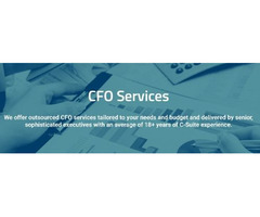 CFO Services in New York NY - Venture Growth Partners | free-classifieds-usa.com - 2