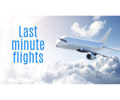 Book Cheap Last-Minute Flight Deals | free-classifieds-usa.com - 1
