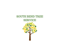 South Bend tree removal | free-classifieds-usa.com - 1