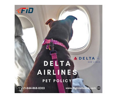 Delta Airlines Pet Policy | free-classifieds-usa.com - 1