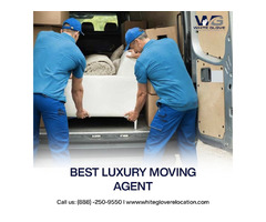  professional long-distance movers in Florida  | free-classifieds-usa.com - 1