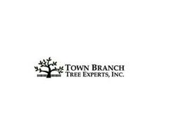 Find the Quickest Way to Tree Removal in USA - Town Branch Tree Experts | free-classifieds-usa.com - 1