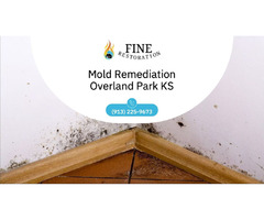 Mold Remediation in Blue Springs | free-classifieds-usa.com - 1
