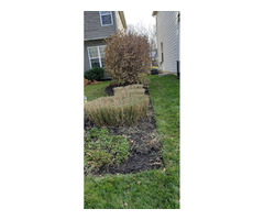 Coopers Landscaping | free-classifieds-usa.com - 2