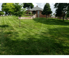 Lawn care services in Junction City KS | free-classifieds-usa.com - 1