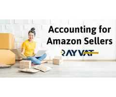 Affordable and easy Accounting for Amazon Sellers | free-classifieds-usa.com - 1