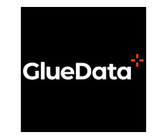 SAP Data Management | Simple Data Management - GlueData | free-classifieds-usa.com - 1