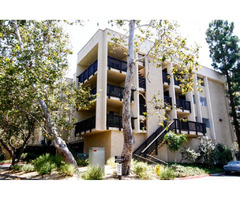 Raintree Condominiums | Culver City Condos For Sale | free-classifieds-usa.com - 1