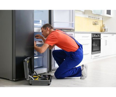 Find The Best Refrigerator Repair Bonita Springs |Sick Appliances | free-classifieds-usa.com - 1