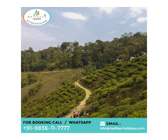Darjeeling Gantok Package Tour - Meilleur Holidays | free-classifieds-usa.com - 3