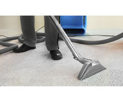  Looking for Affordable Carpet Cleaning Services in San Diego? | free-classifieds-usa.com - 1