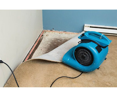  Looking for Affordable Carpet Cleaning Services in San Diego? | free-classifieds-usa.com - 2