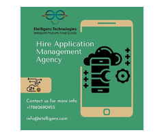 Hire Application Management Agency | free-classifieds-usa.com - 1