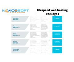 Benefits of Using LiteSpeed Hosting | free-classifieds-usa.com - 2