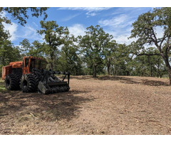 Commercial Land Clearing, Underbrush Removal, Cedar Shredding, Forestry Mulching in Kendall Texas | free-classifieds-usa.com - 1