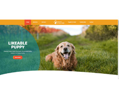 Pet Sitting , Dog Walking, Pet grooming, Pet Day Care | free-classifieds-usa.com - 1