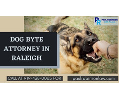 How Does Dog Bite Lawyer Help you? | free-classifieds-usa.com - 1