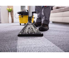 Top Services Of Carpet Cleaning In Estero FL | free-classifieds-usa.com - 1