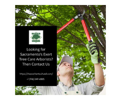 Tree Services in Sacramento | free-classifieds-usa.com - 1