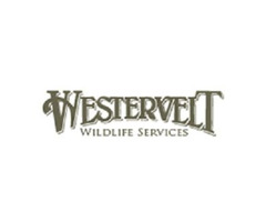 Deer Property Management Plan In Alabama, US - Westervelt Wildlife | free-classifieds-usa.com - 1