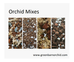 Orchid Mixes at Green Barn Supplies, Florida! | free-classifieds-usa.com - 1