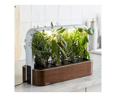 Best Indoor Hydroponic Garden System of 2022 | free-classifieds-usa.com - 1