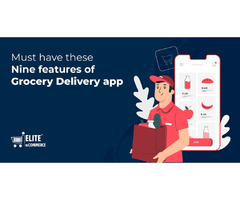 9 Must-Have Features for a Grocery Delivery App | free-classifieds-usa.com - 1