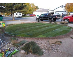 Hire Professional Tree Trimming service in Reno | free-classifieds-usa.com - 1
