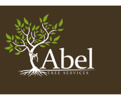 Abel Tree Services | free-classifieds-usa.com - 4