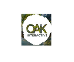 SEO services Houston - Local SEO Experts - OAK Interactive | free-classifieds-usa.com - 1