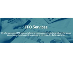 Part Time CFO Services in New York NY - Venture Growth Partners | free-classifieds-usa.com - 4