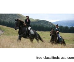 High Mountain Horse Trekking in Sicily | free-classifieds-usa.com - 2