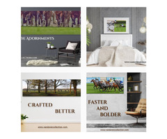Get scarlett white horse photographs to Hang in Your Home | free-classifieds-usa.com - 1
