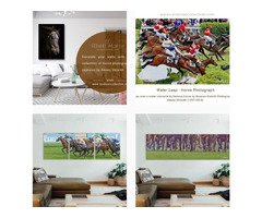Decorate Your Home With Horse portrait photographs | free-classifieds-usa.com - 1