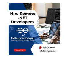 Hire Remote Dot NET Developers  | free-classifieds-usa.com - 1