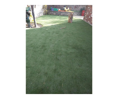 Looking for Professional Lawn Care Services in Reno ? | free-classifieds-usa.com - 1