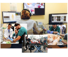 Simulation in Healthcare | free-classifieds-usa.com - 1