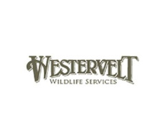 Contact Westervelt Wildlife Services For Deer Property Management Plan | free-classifieds-usa.com - 1