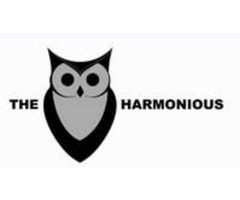 Business Management Consulting Platform | Business Mentor - The Harmonious | free-classifieds-usa.com - 1