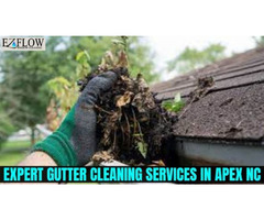 Expert Gutter Cleaning Services in Apex NC | free-classifieds-usa.com - 1