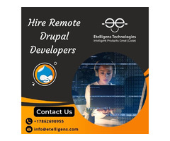 Hire Remote Drupal Developers on Hourly Basis | free-classifieds-usa.com - 1